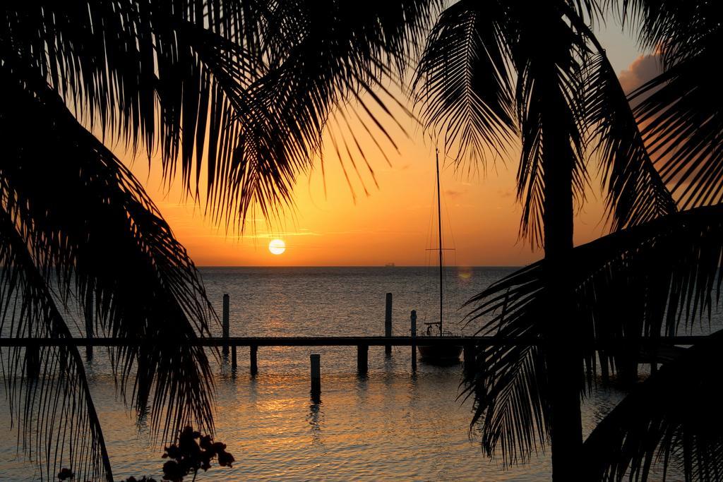 Aruba Surfside Marina Hotel Oranjestad Kültér fotó