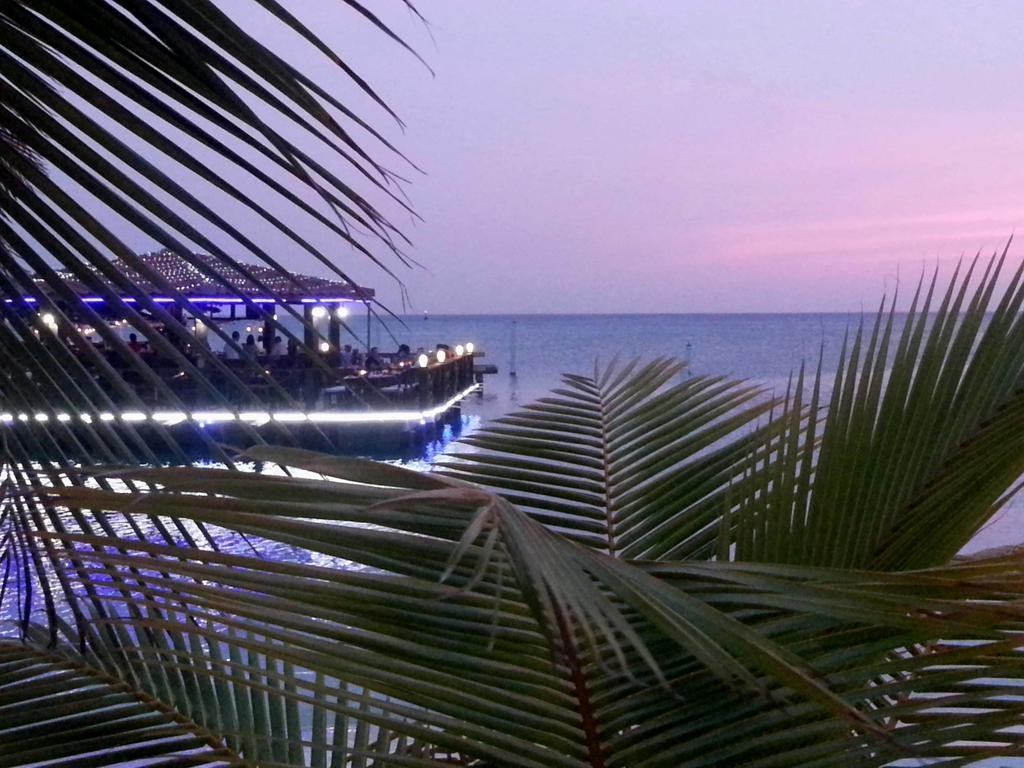 Aruba Surfside Marina Hotel Oranjestad Kültér fotó
