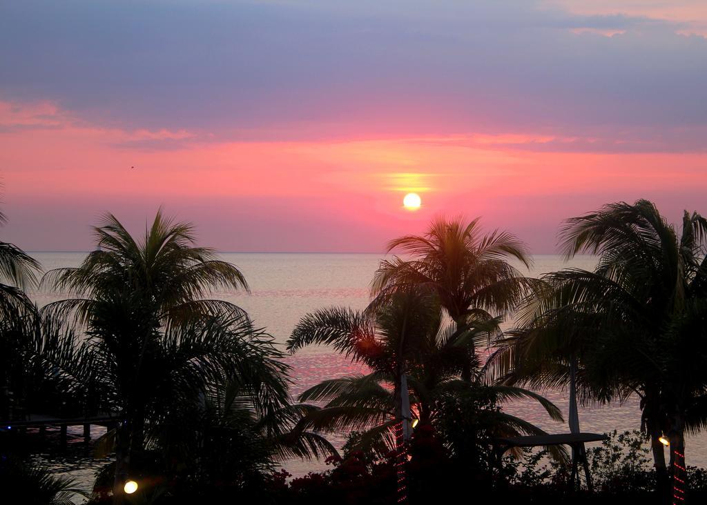 Aruba Surfside Marina Hotel Oranjestad Kültér fotó
