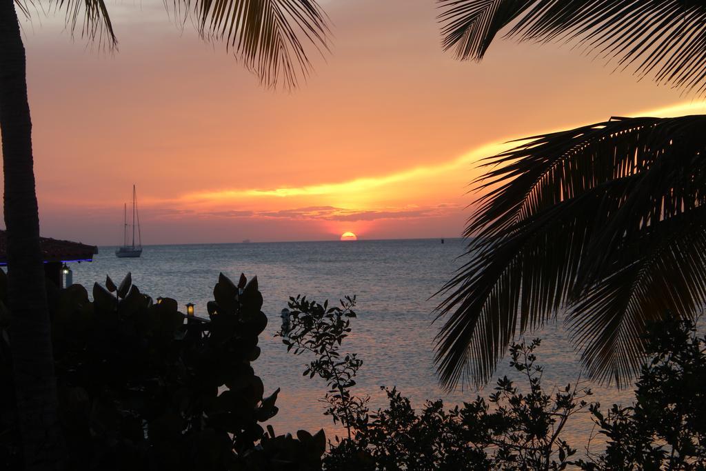 Aruba Surfside Marina Hotel Oranjestad Kültér fotó