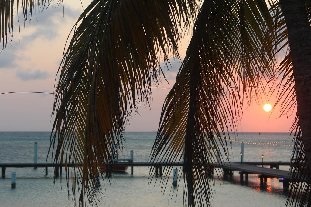 Aruba Surfside Marina Hotel Oranjestad Kültér fotó