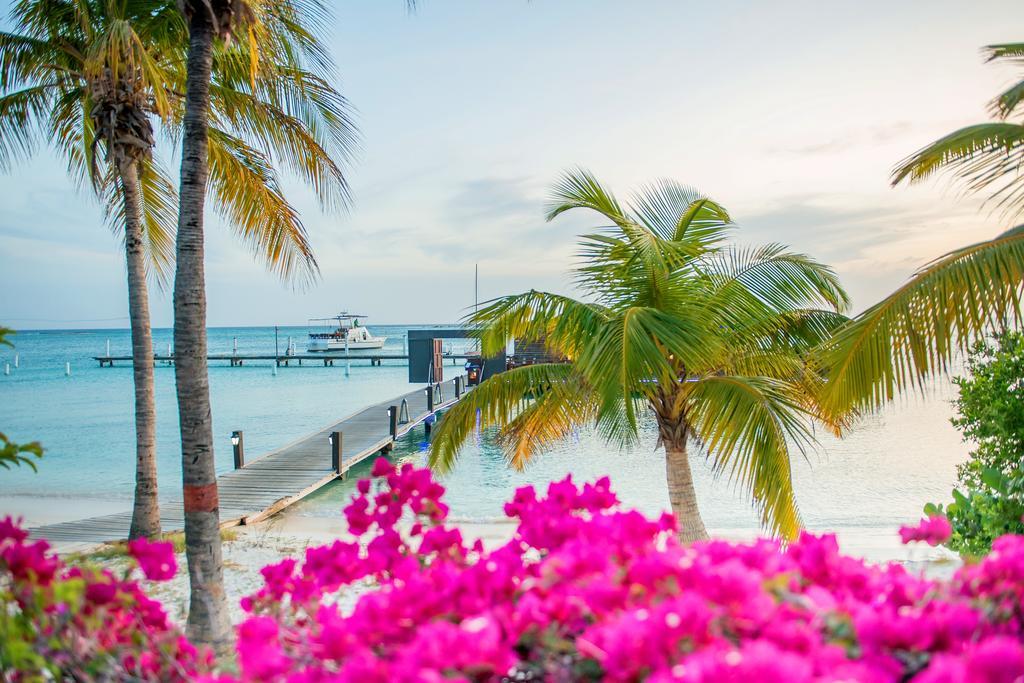 Aruba Surfside Marina Hotel Oranjestad Kültér fotó